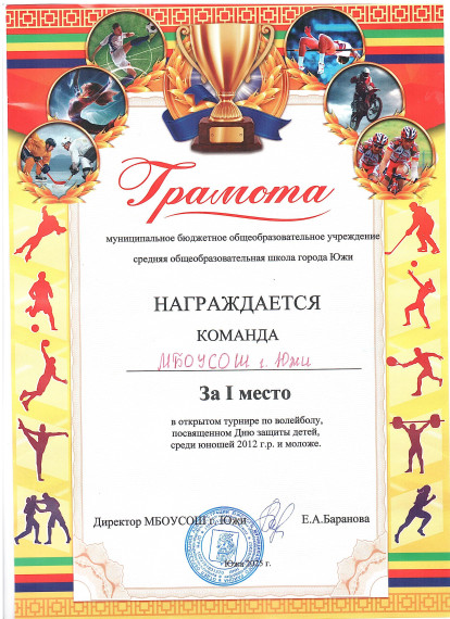 Турнир по волейболу.